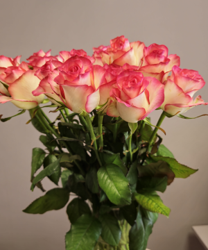 Švelniai rūžavo atspalvio rožės (Premium kokybė)